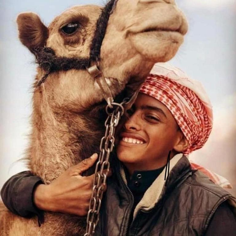 Wadi Rum Desert Heart Camp Экстерьер фото