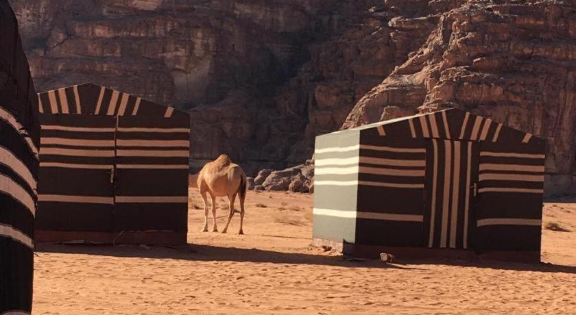 Wadi Rum Desert Heart Camp Экстерьер фото