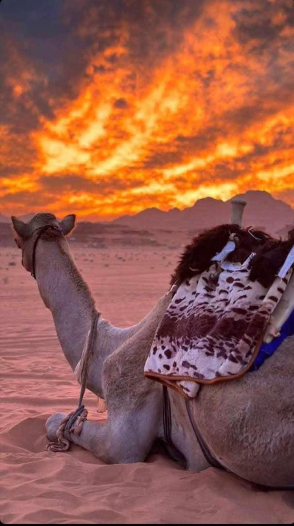 Wadi Rum Desert Heart Camp Экстерьер фото